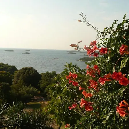 Guest house Casa Di Rose 3*